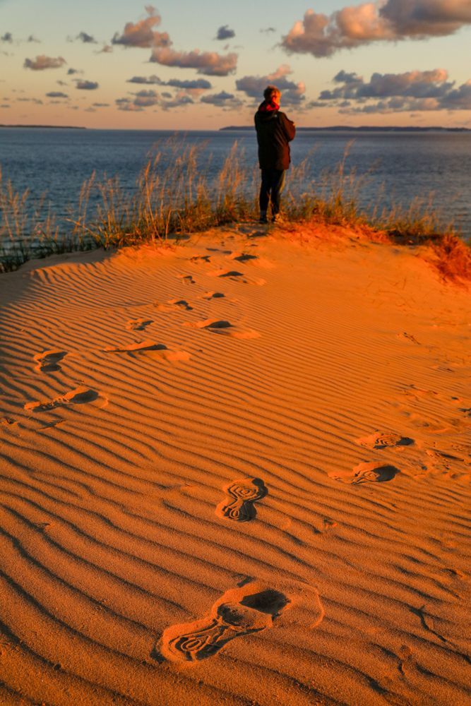 夕暮れにスリーピング ベアー デューンズからミシガン湖を眺める人
