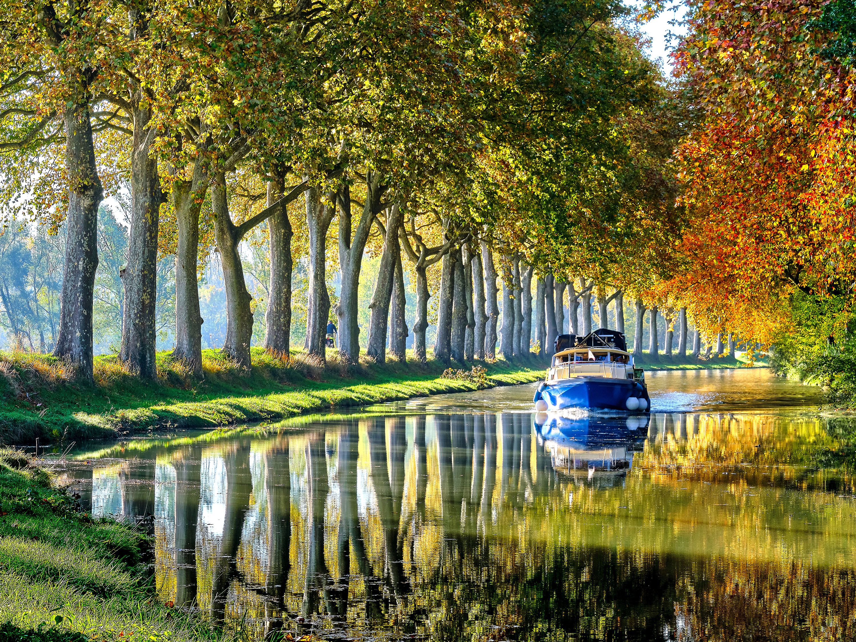 Blue boat travels beneath tree canopy on calm water.