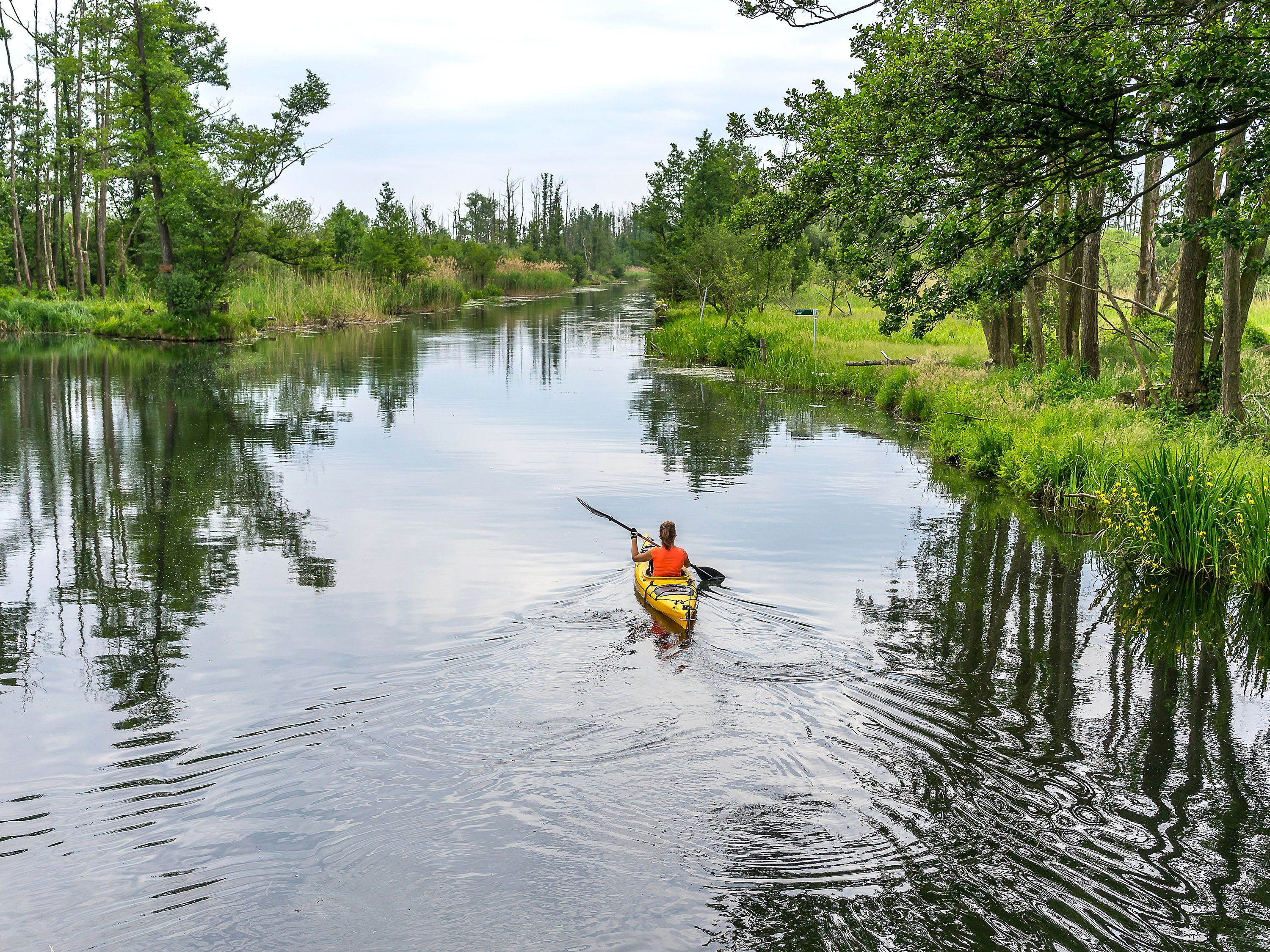 A person paddles a canoe on a calm river surrounded by green grass and trees.