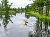 A person paddles a canoe on a calm river surrounded by green grass and trees.