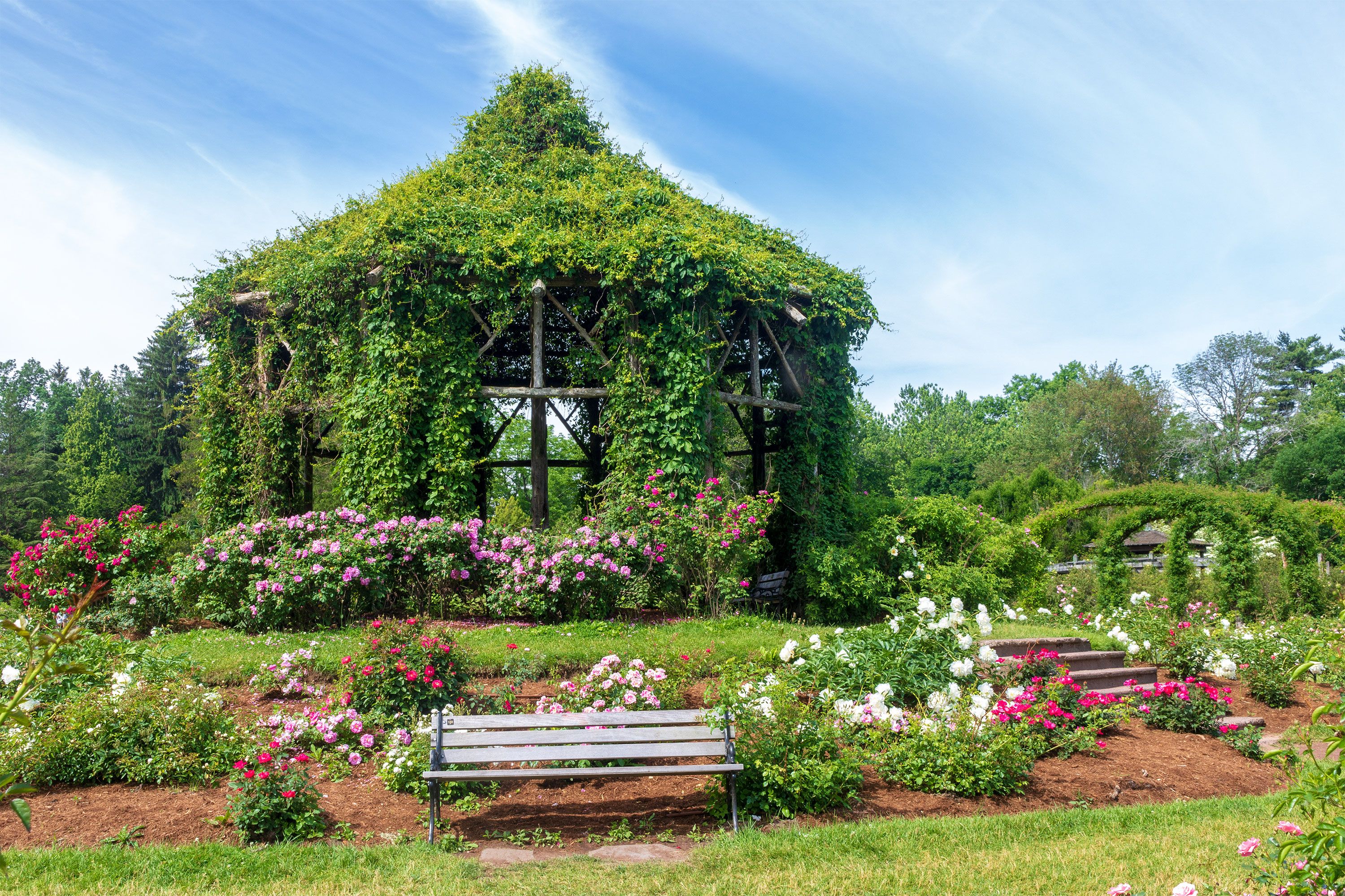An Ivy-covered garden pavilion surrounded by blooming roses and manicured greenery.