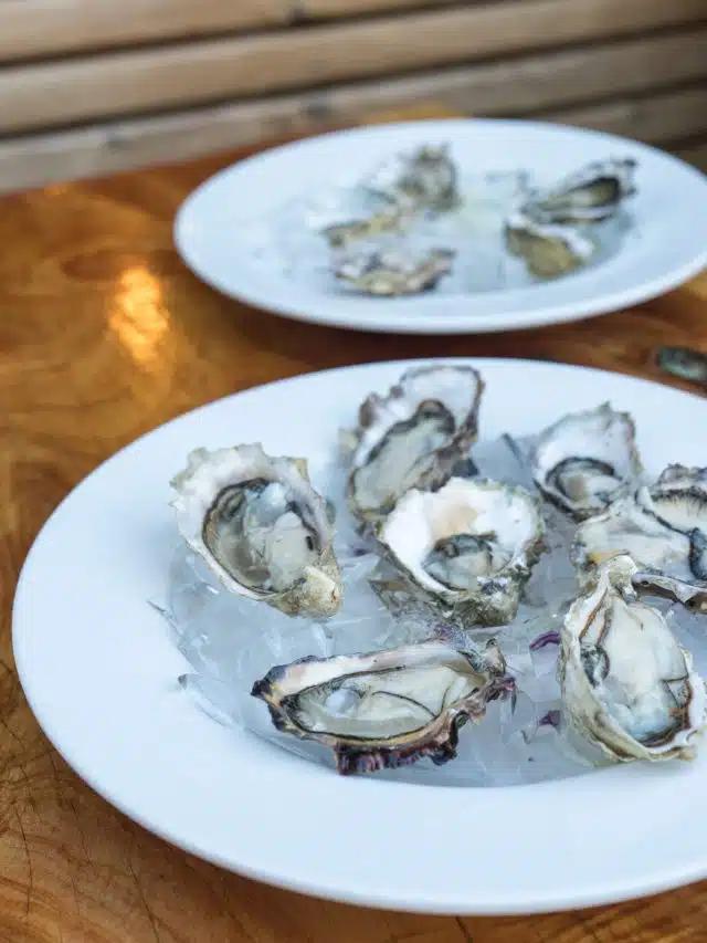 Two white plates are filled with crushed ice and  topped with oysters, a specialty from West Ireland’s Atlantic waters