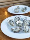 Two white plates are filled with crushed ice and topped with oysters, a specialty from West Ireland’s Atlantic waters