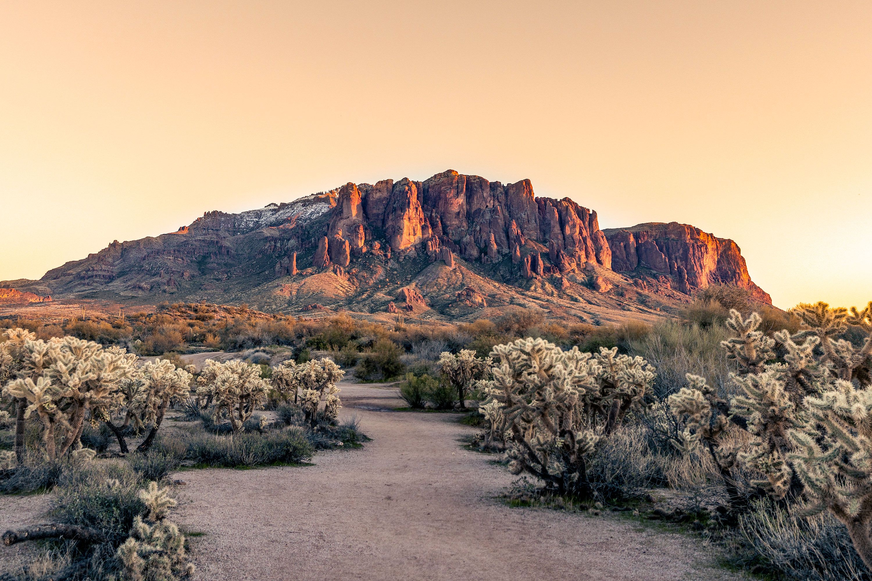 A dirt hiking trail surrounded by cacti bushes leading to mountains under clear pale sky.