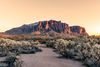 A dirt hiking trail surrounded by cacti bushes leading to mountains under clear pale sky.