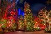 Totem poles at night illuminated by colorful Christmas lights in the background.