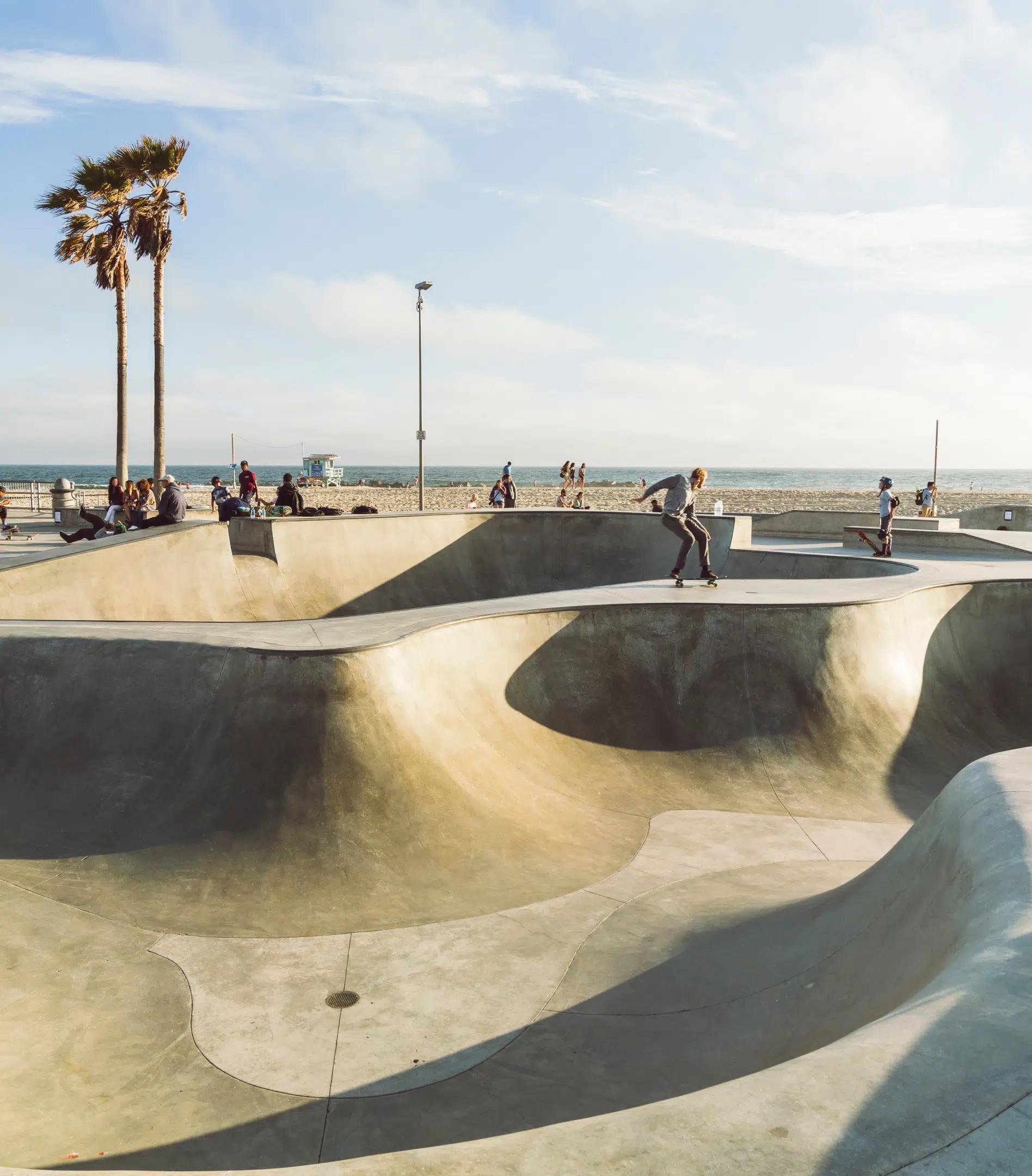 Skaters navigate the smooth curves of a skate park, Venice Beach