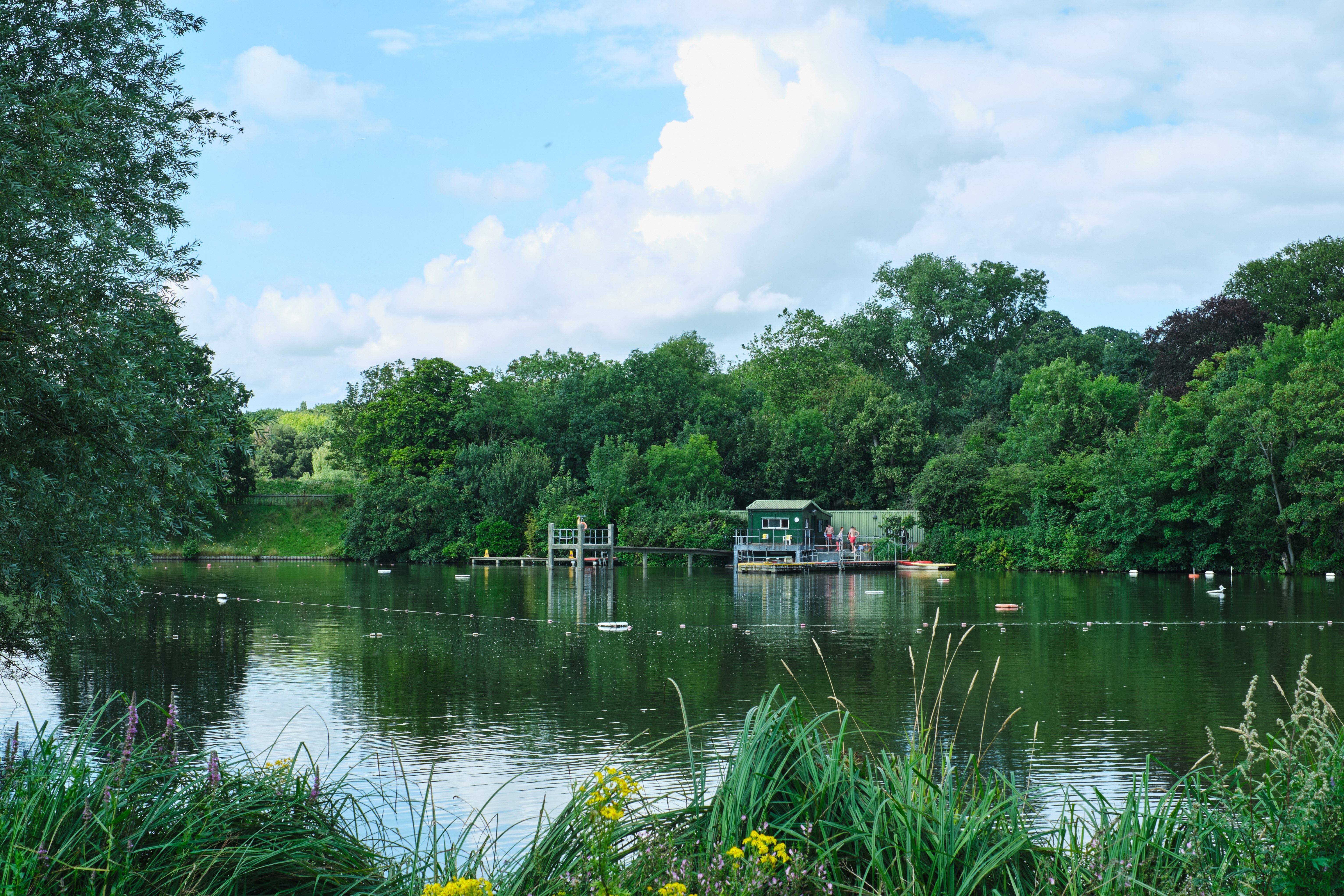Lush green trees and plants surround the men's pond at Hampstead Heath