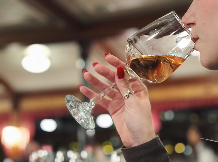 Wine & Food Tasting Danube Cruise