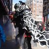 Lion dance in Chinatown, Boston during Chinese New Year celebration