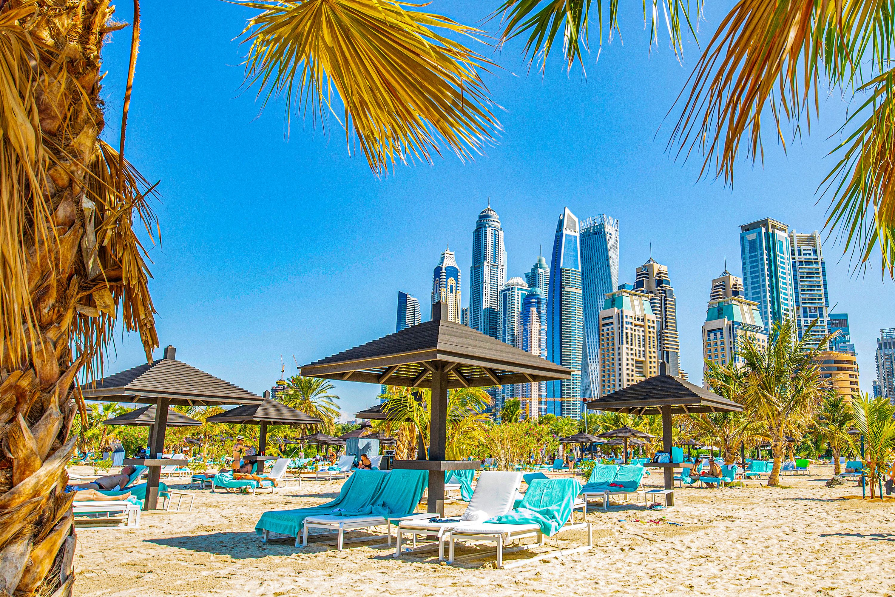 Palm trees surround lounge chairs with towels on them on Jumeirah Beach and Dubai city skyline in the distance.