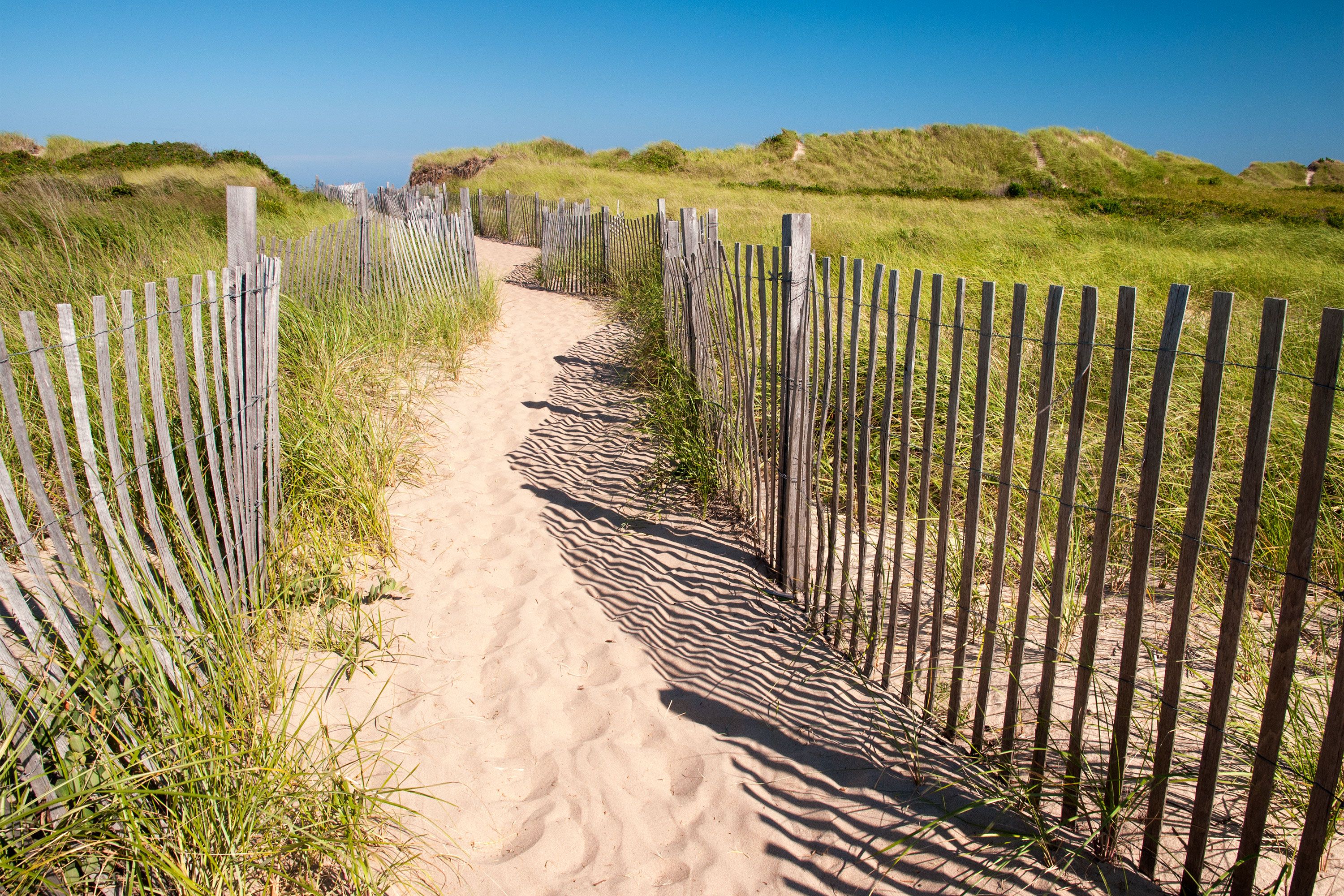A sandy path winds through grassy dunes, bordered by weathered wooden fences.