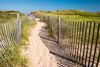 A sandy path winds through grassy dunes, bordered by weathered wooden fences.