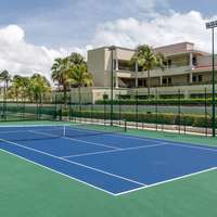 Play some pickleball