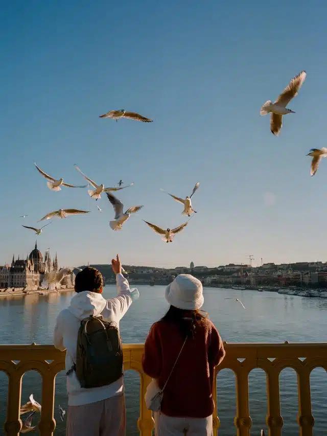Look out over the Danube to the Hungarian Parliament Building