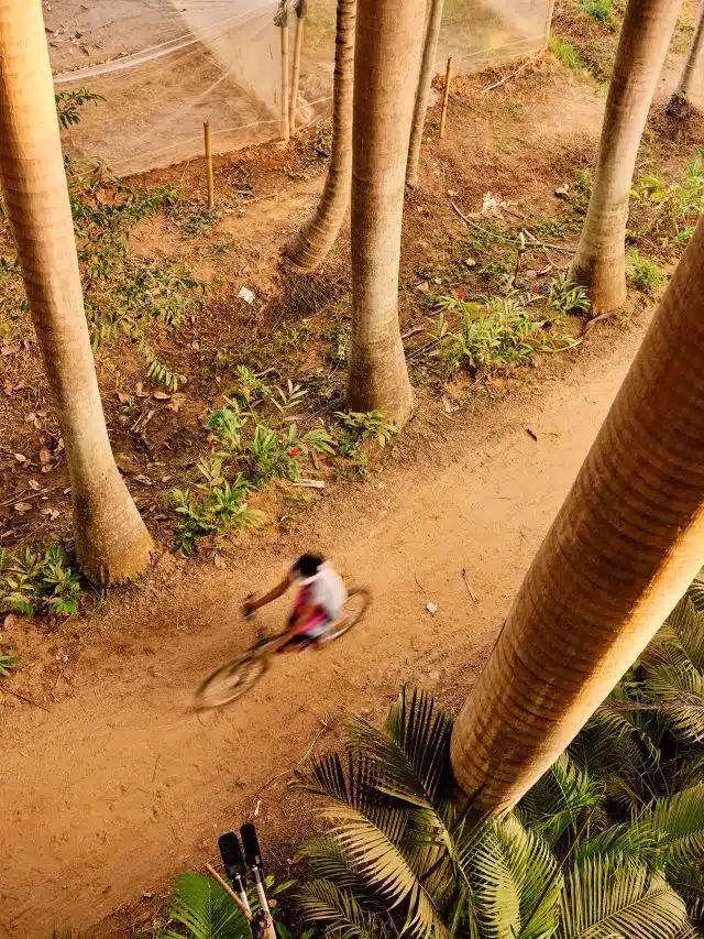 An aerial view of a boy cycling through the jungle outside Mysuru, India