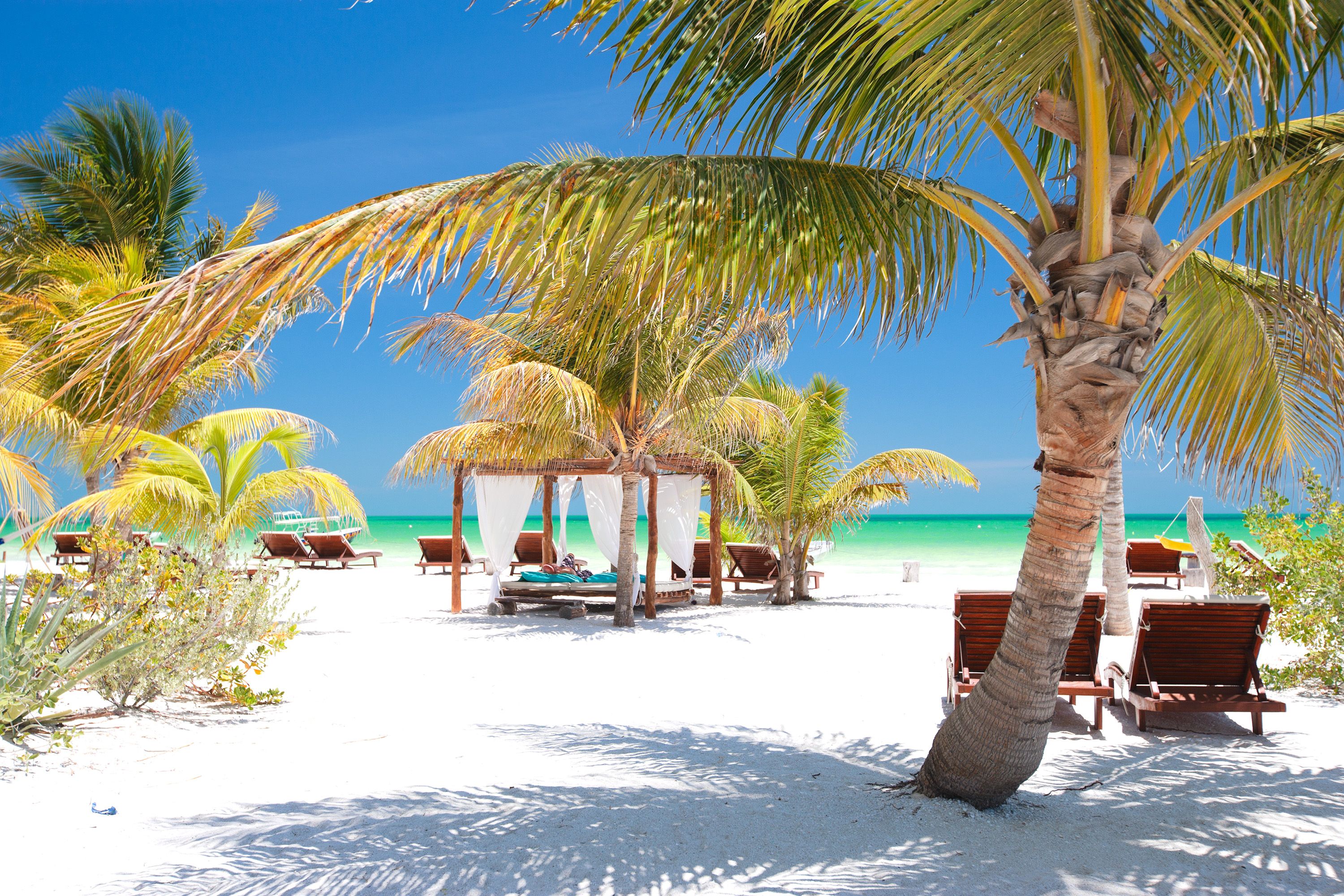 Bed with canopy and white curtains sits on the beach surrounded by beach chairs and palm trees.