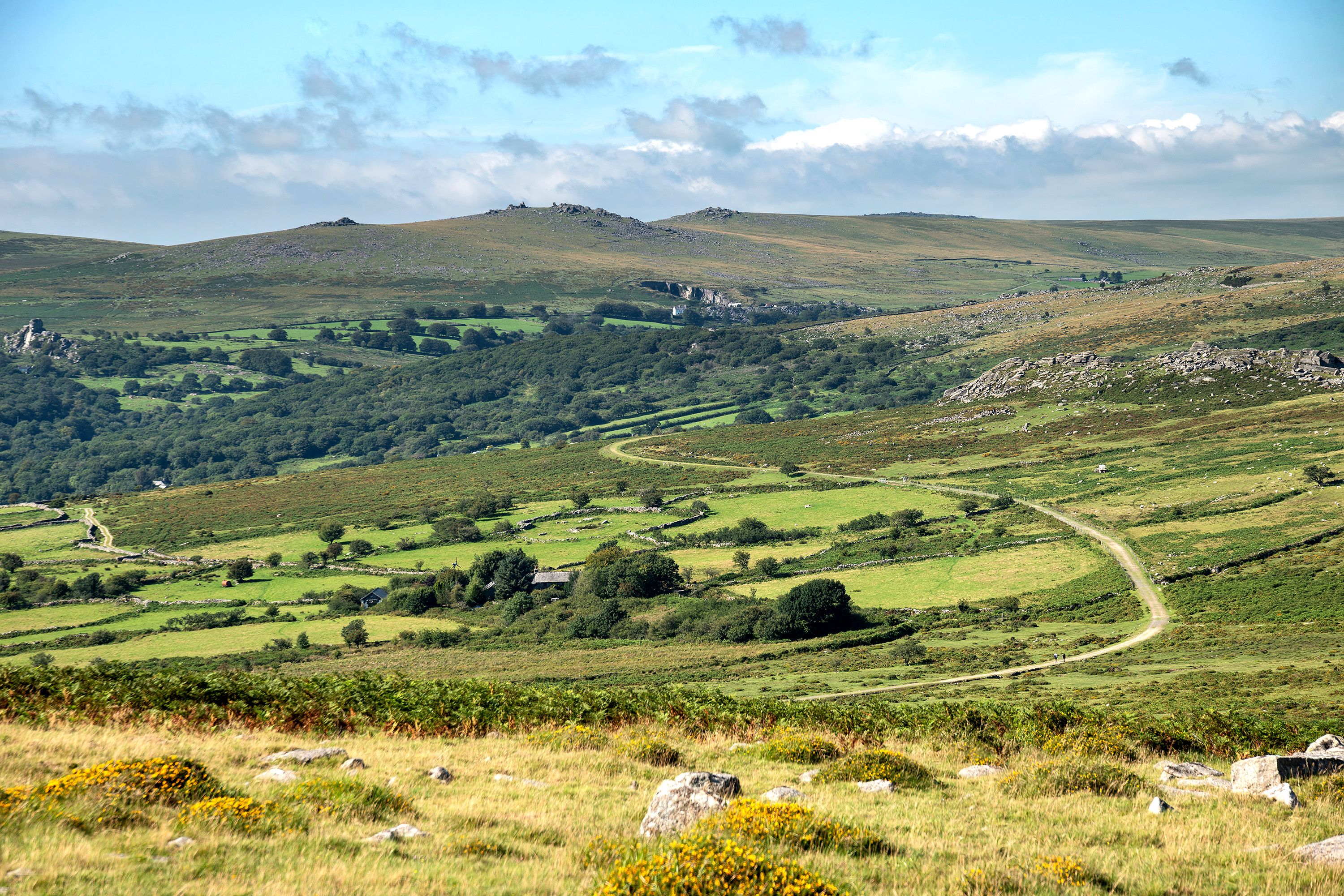 Vast grasses and green rolling hills with blue sky.