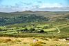 Vast grasses and green rolling hills with blue sky.
