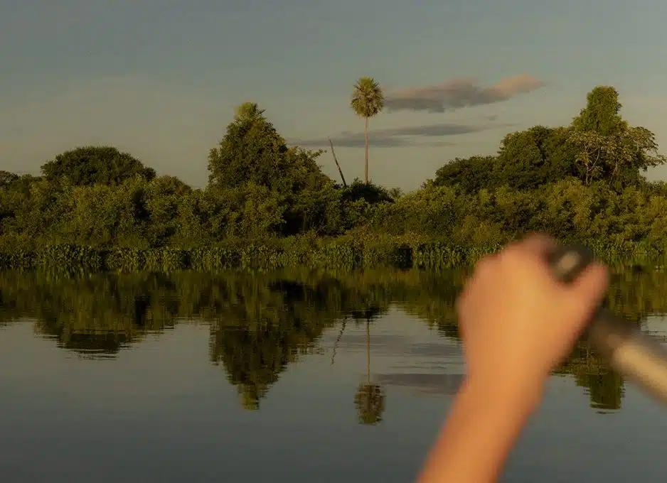 Lush greenery reflected in the Amazon, as seen from a canoe