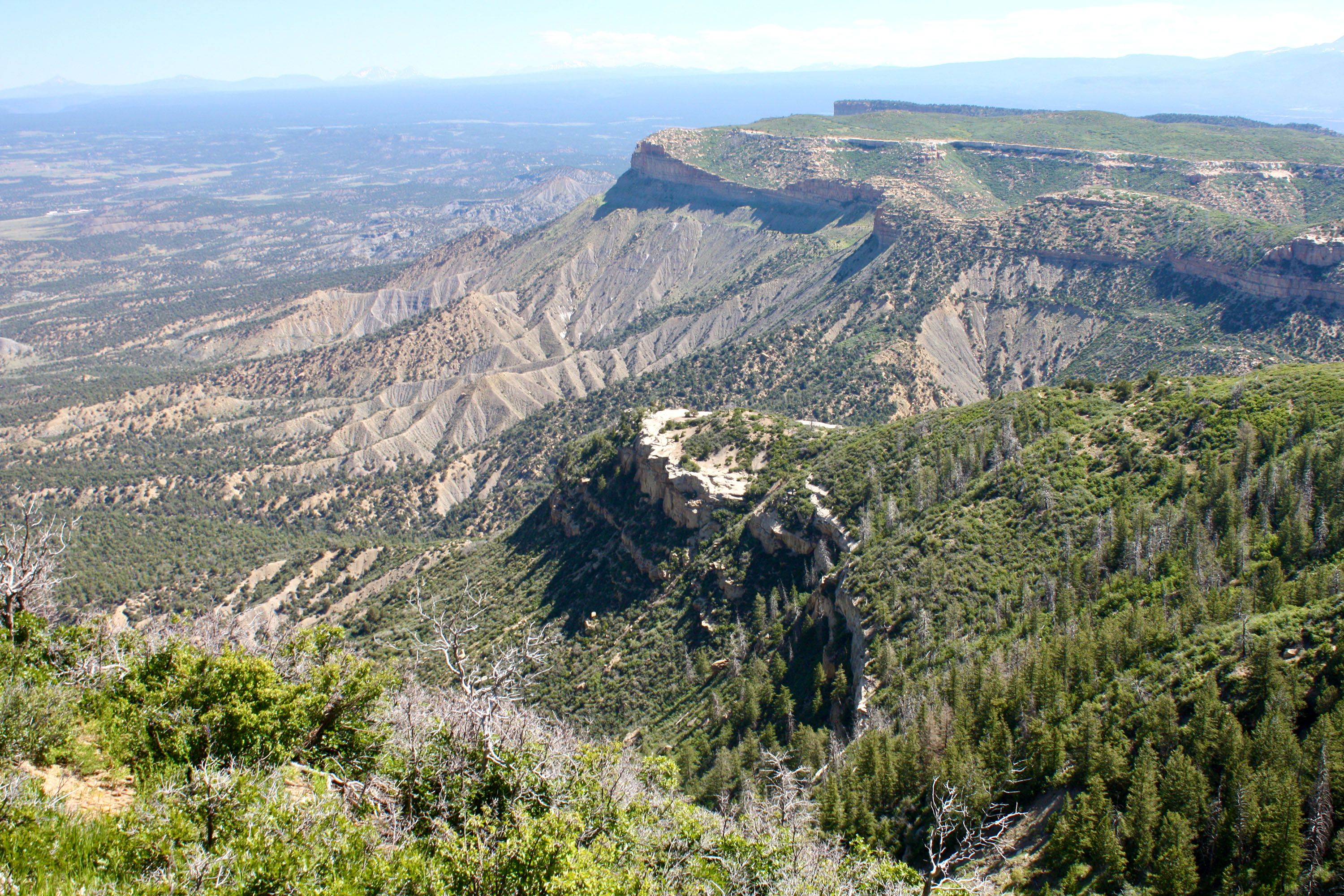 An aerial view of a mountainous area, with forest and rugged peaks.