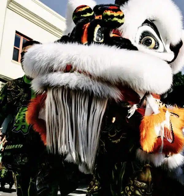 Close up of a Chinese dragon head on parade in Honolulu as part of Lunar New Year celebrations