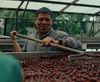 Ngäbe-Buglé coffee producers