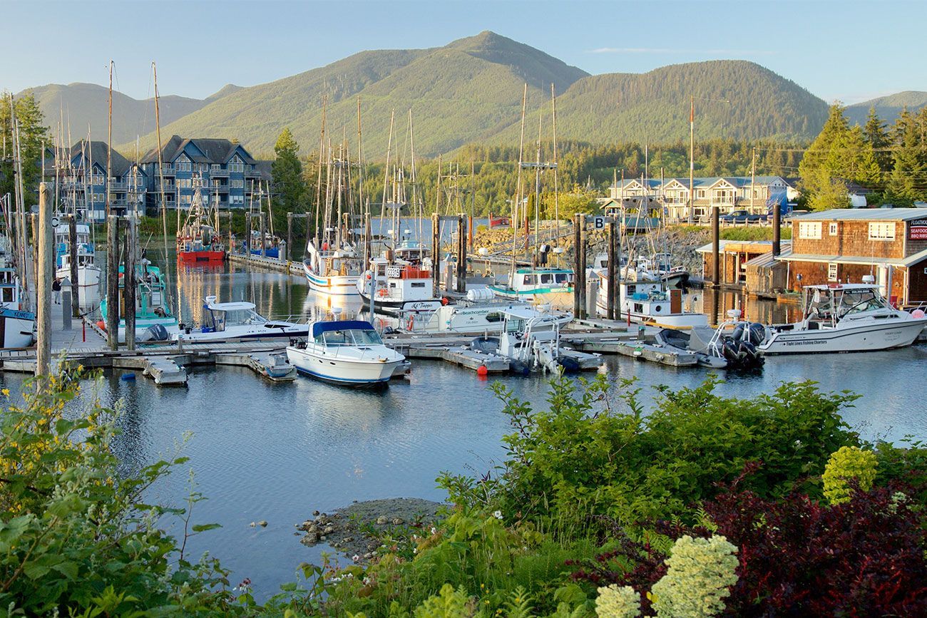 Boats docked at a marina surrounded by green hills.