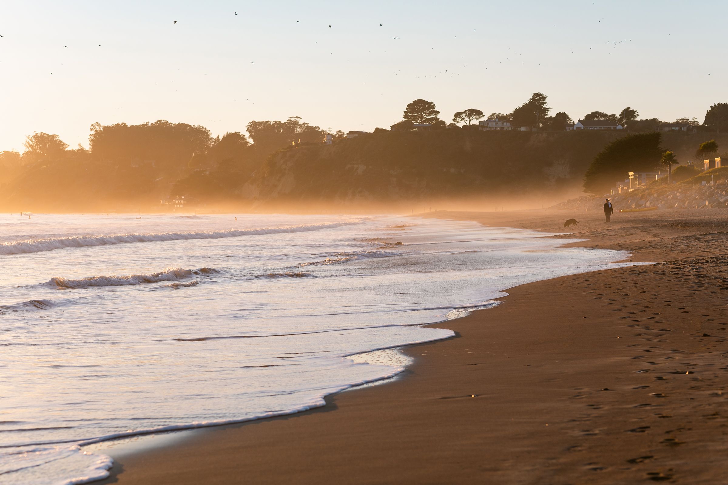 Fall Beach during sunset at Stinson Beach, California