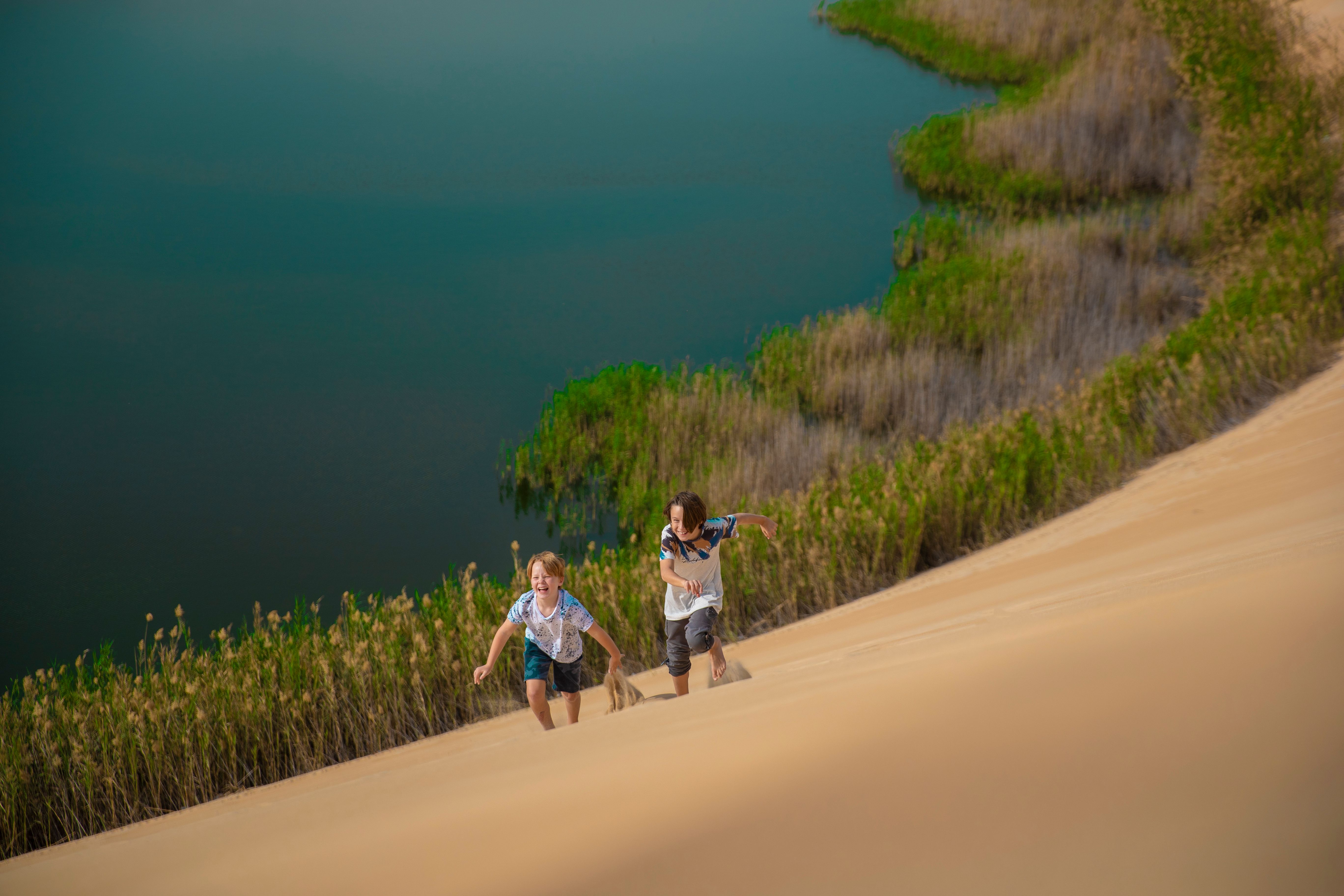 The sandy shores of the vast Al Asfar Lake at Al-Ahsa Oasis
