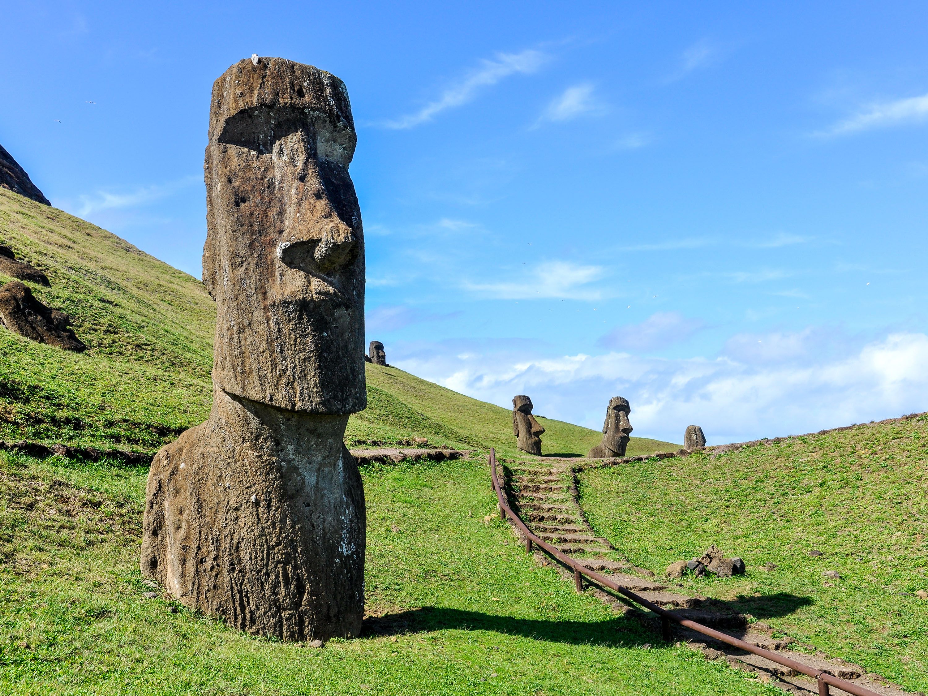 Statue with a face in a grassy field.