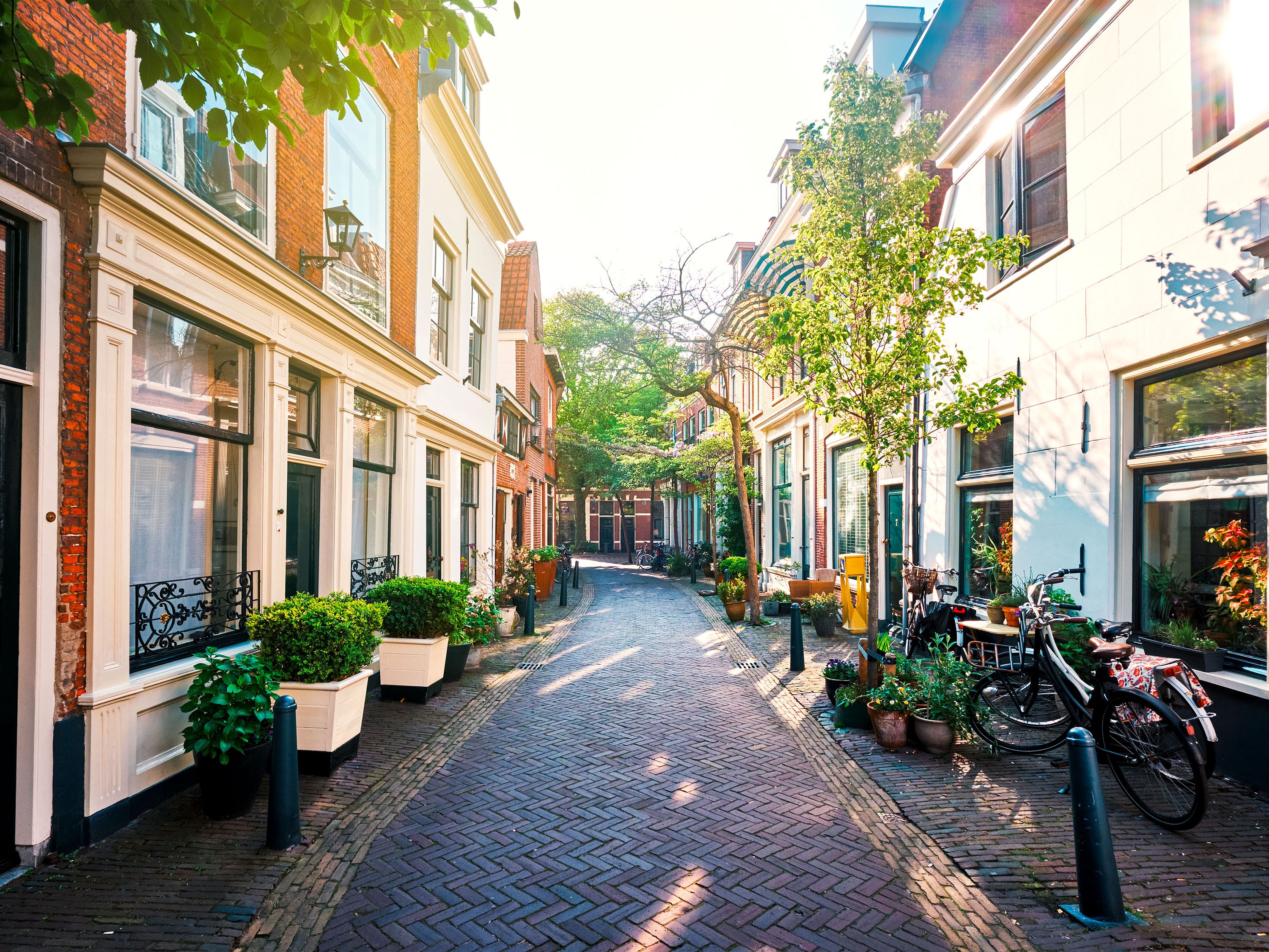 Brick sidewalk between buildings with flower pots and bicycles parked outside.