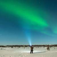 A person dressed for cold weather stands in a snowy field, looking up at the green aurora in the sky