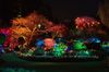Colorful lights on display in a garden setting at night.