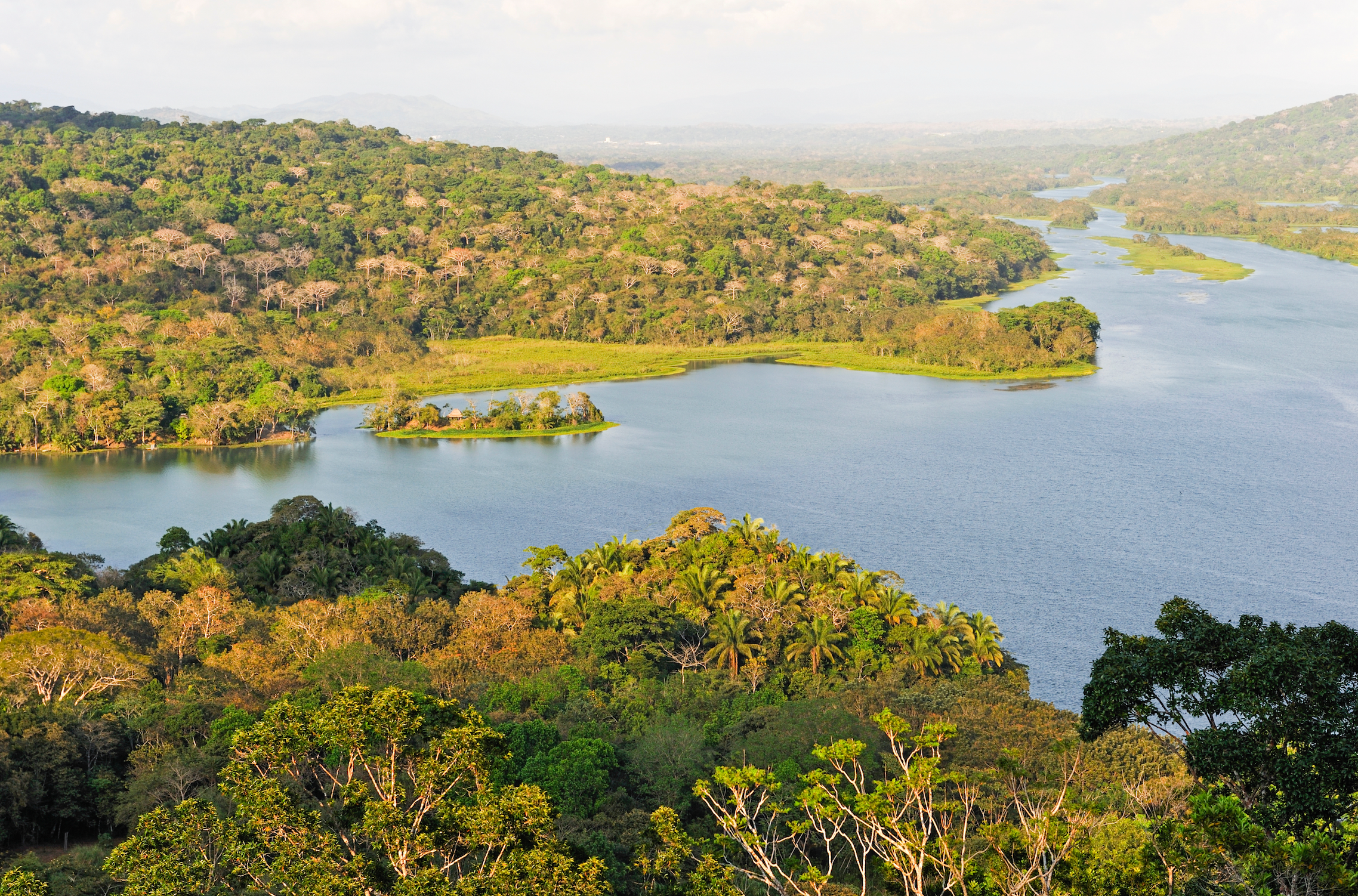 Gamboa Rainforest Guided tour with lunch 