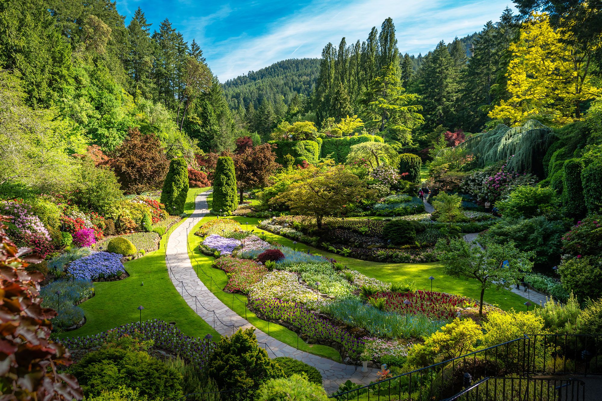 A walkway runs through the beautiful scenery of Butchart Gardens in Victoria, British Columbia.