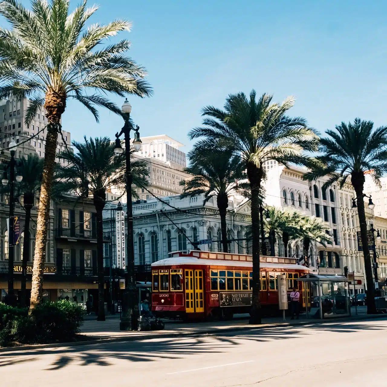A streetcar travling down a New Orleans street lined with palm trees