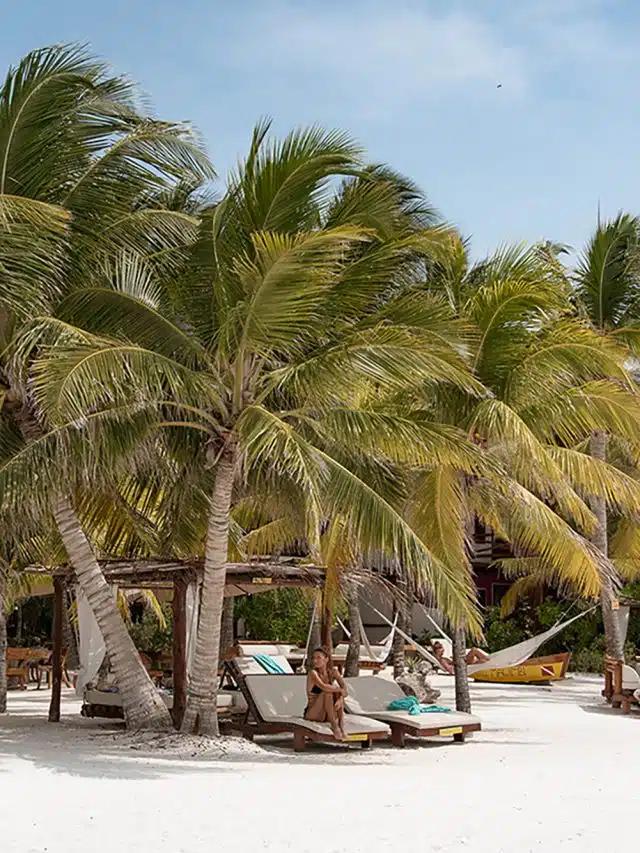 Beach loungers in the shade of palm trees on the white sand at Isla Holbox, Mexico