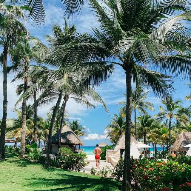 Bright blue skies and green palm trees frame a person walking towards the beach in Cancun, Mexico