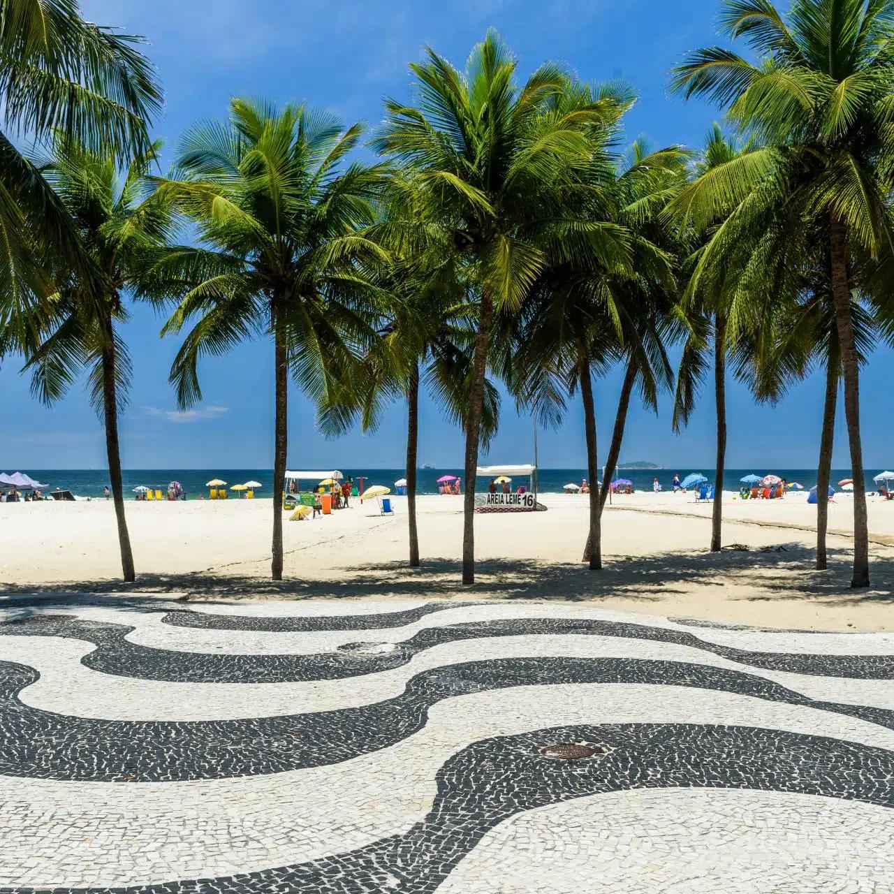 Palm trees and mosaic tiles on the Copacabana promenade in Rio de Janeiro