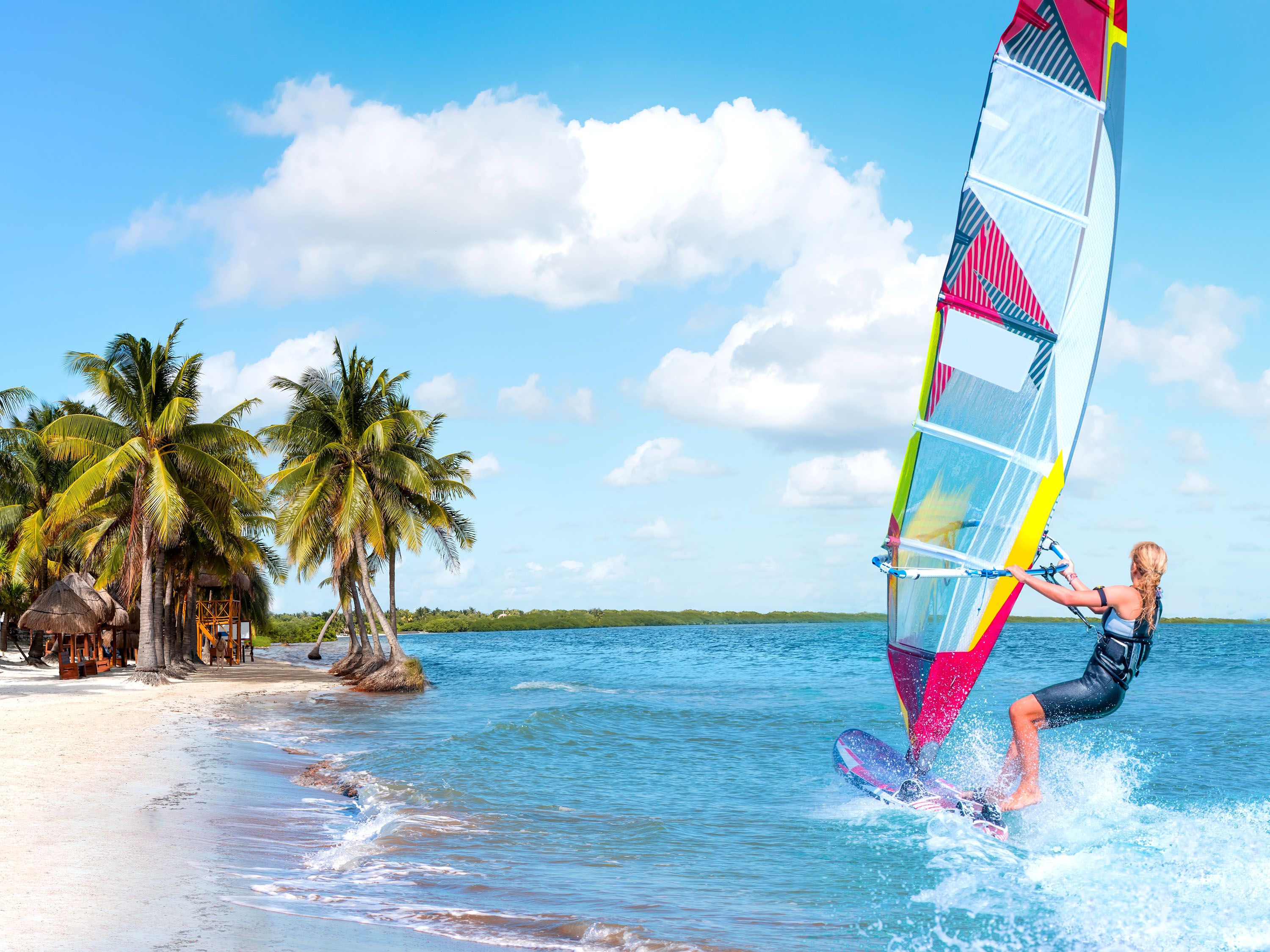 A windsurfer glides along the water near a beach and palm trees.