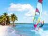 A windsurfer glides along the water near a beach and palm trees.