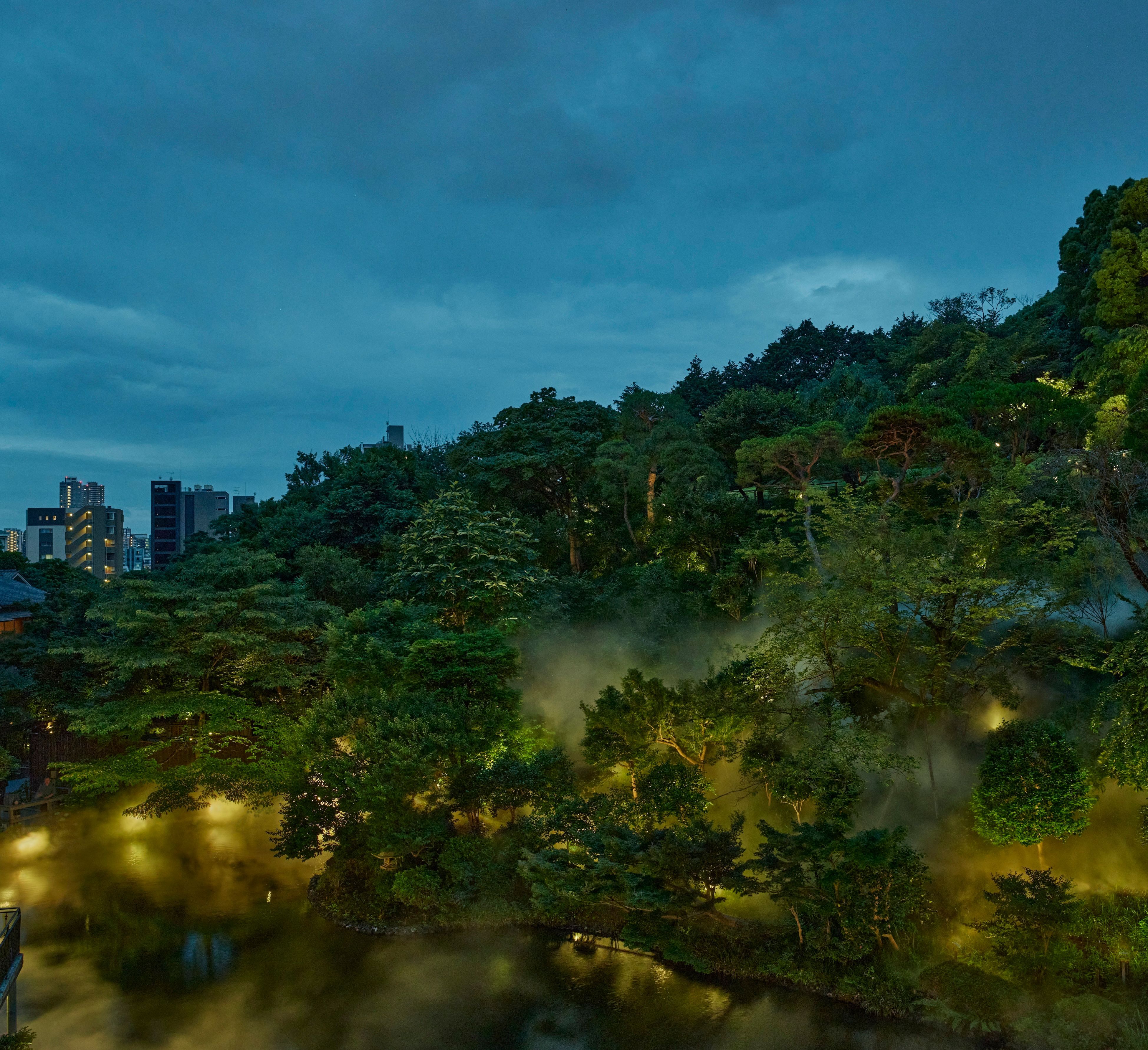 Fireflies light up the Chinzanso Garden at Hotel Chinzanso Tokyo in Japan