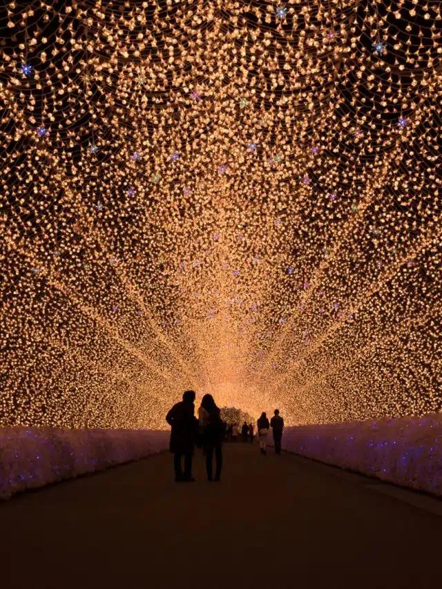 A tunnel illuminated by millions of lights in Japan