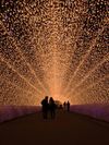A tunnel illuminated by millions of lights in Japan