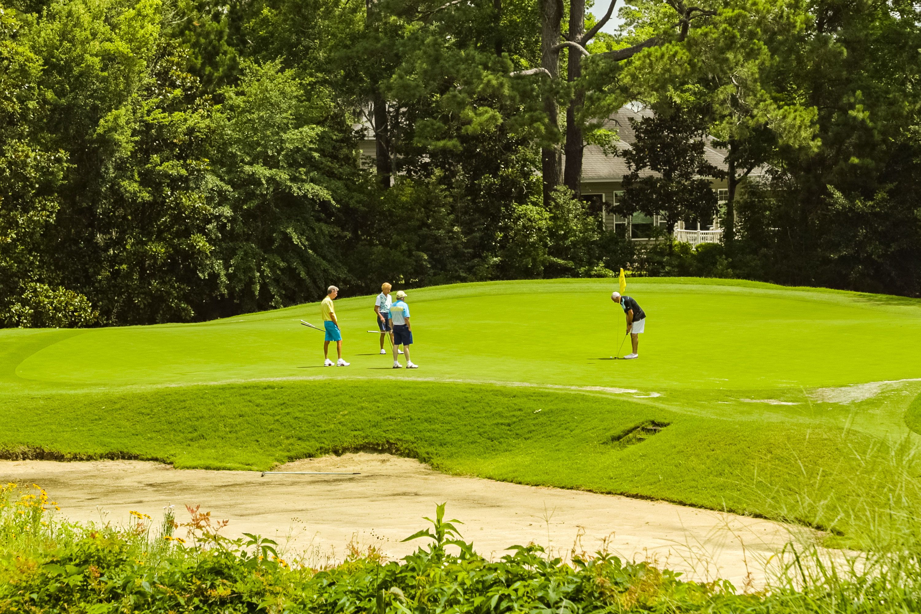 A small group of golfers stands on a green while one person putts near the flag.