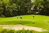 A small group of golfers stands on a green while one person putts near the flag.