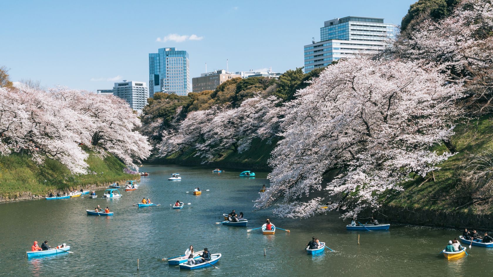 Tokyo, Japan 