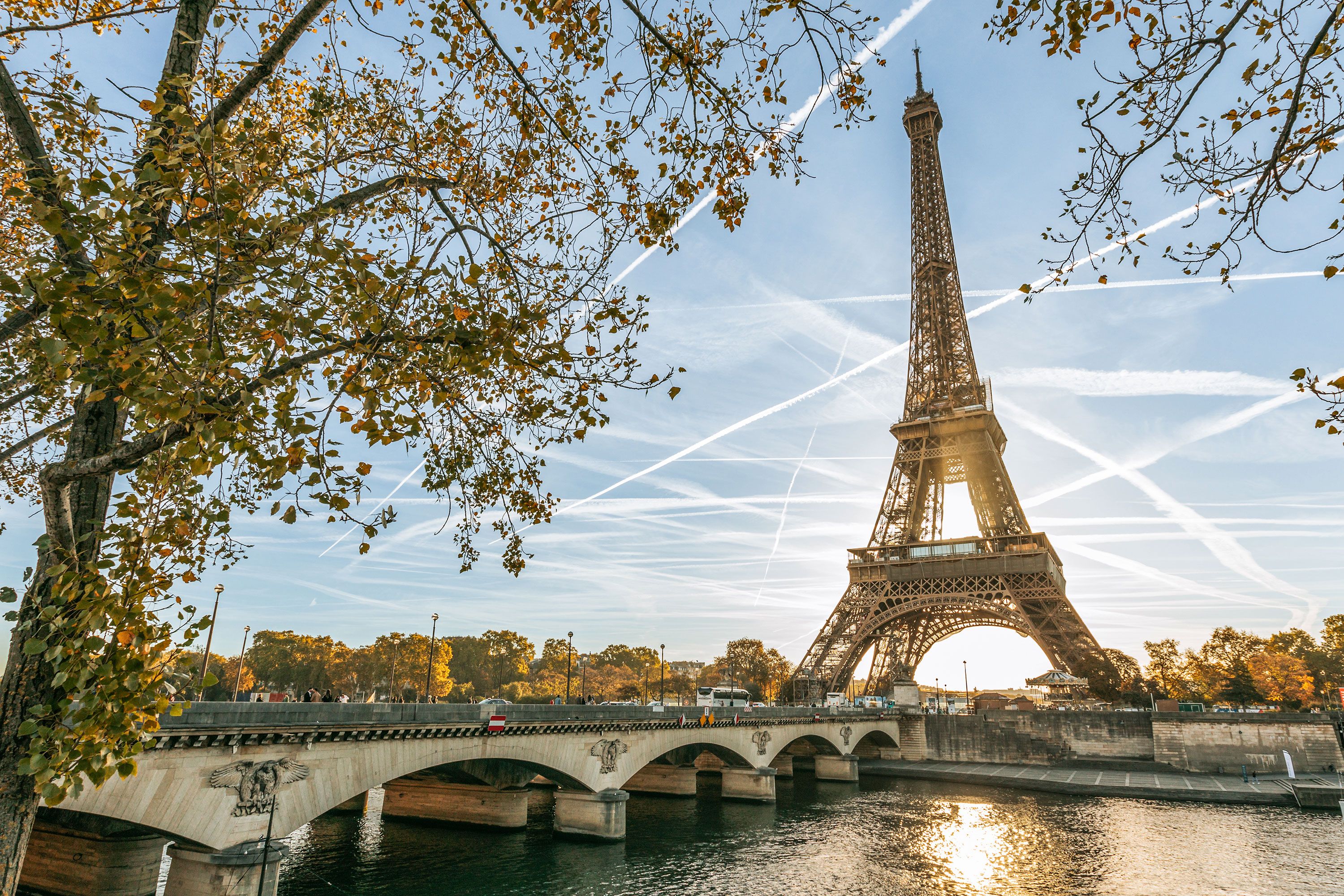 Framed by tree branches in the foreground, a bridge leads toward the Eiffel Tower under a clear blue sky in Paris’s 16th arrondissement