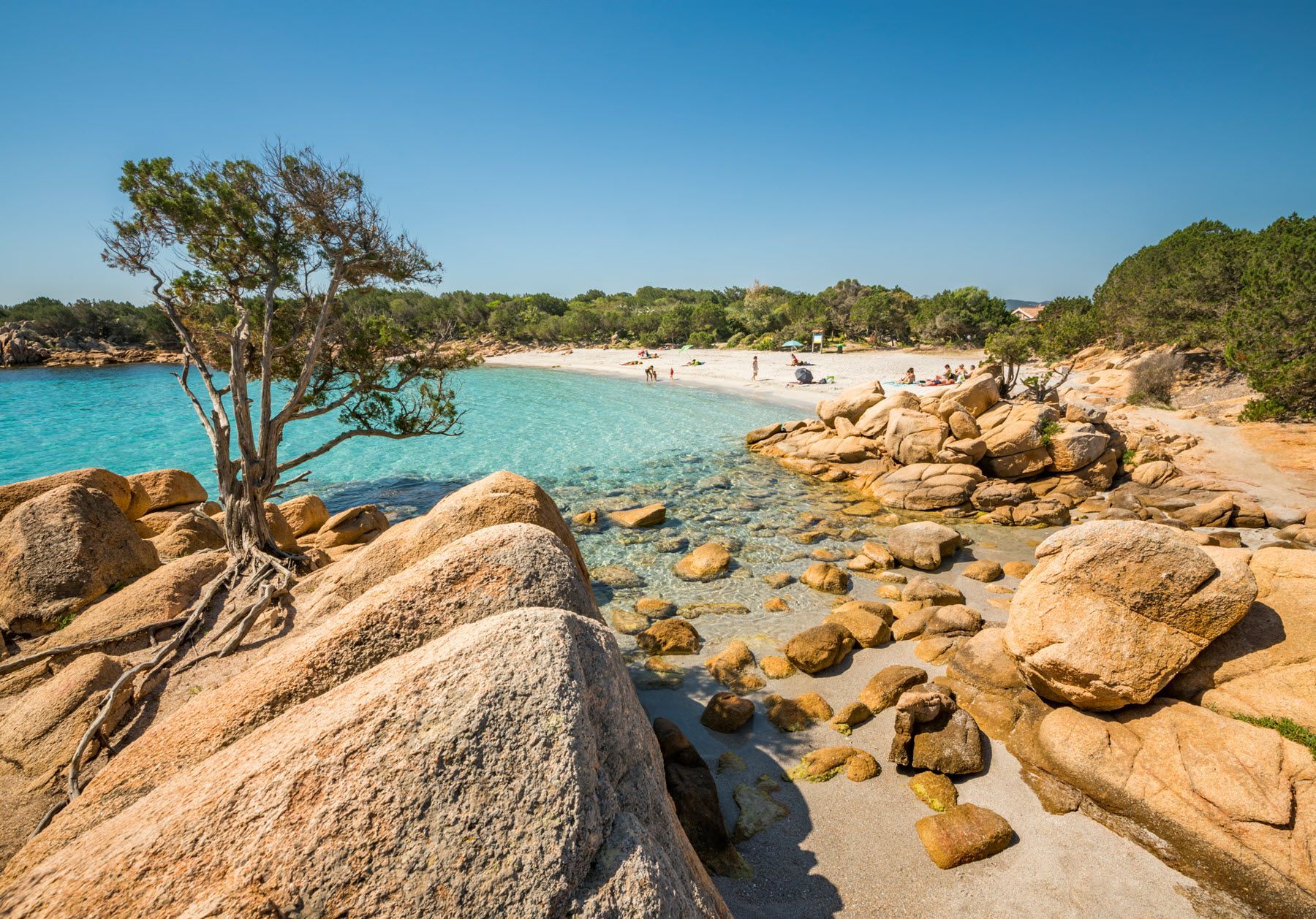 A white sandy beach surrounded by trees. 